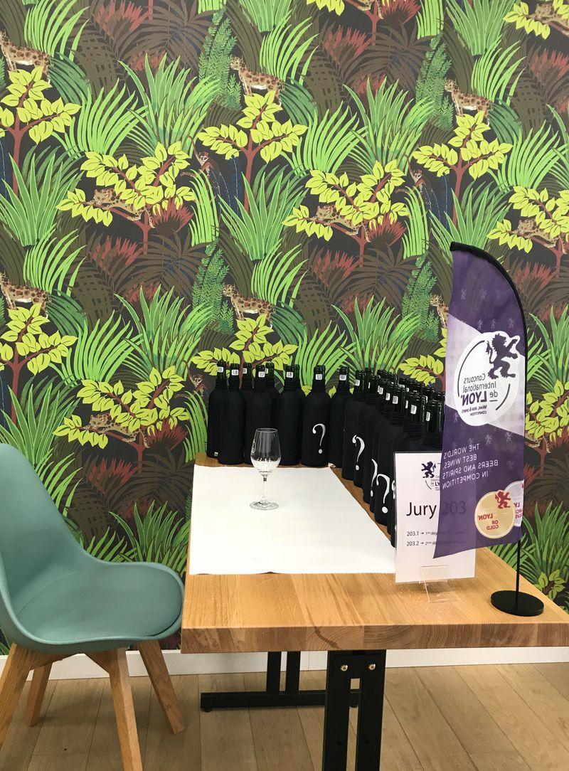 Maintien du Concours International de Lyon